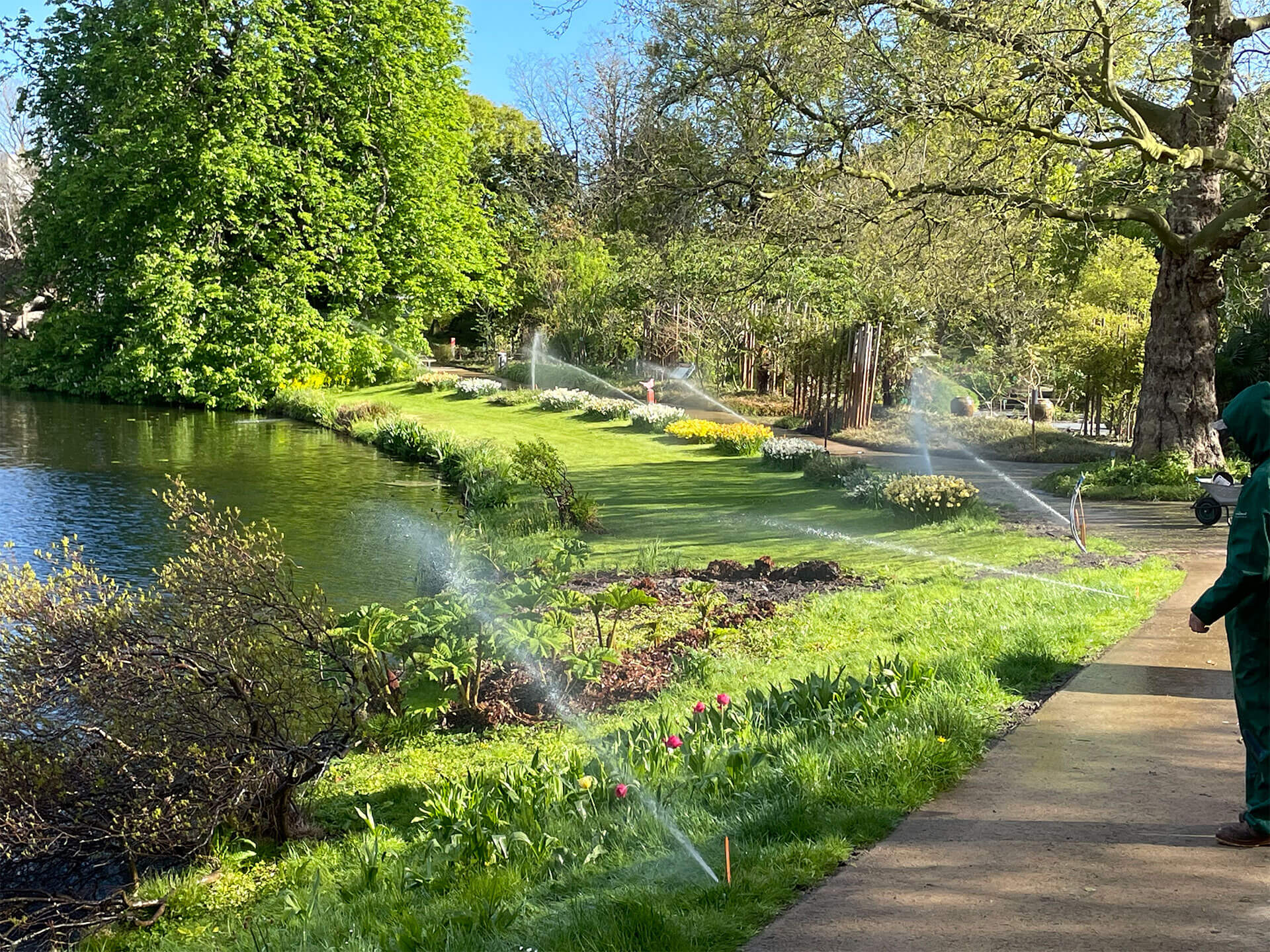 Hortus Botanicus - Leiden - Bas Beregening